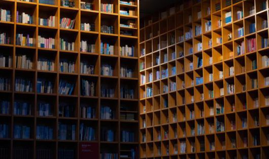 지혜의 숲에 들어서면 거대한 서고에 압도당하는 기분이다.