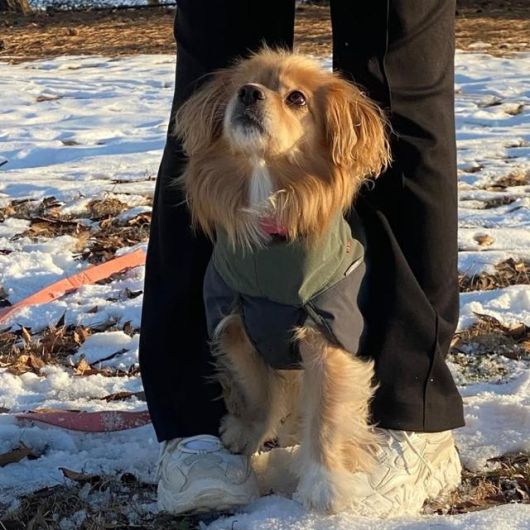 매우 쉬워보이지만, 이 동작을 하기까지 1년이 걸렸어요!! 보호자 제공