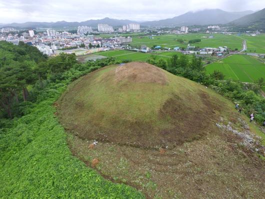 헤럴드경제