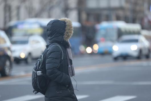 헤럴드경제