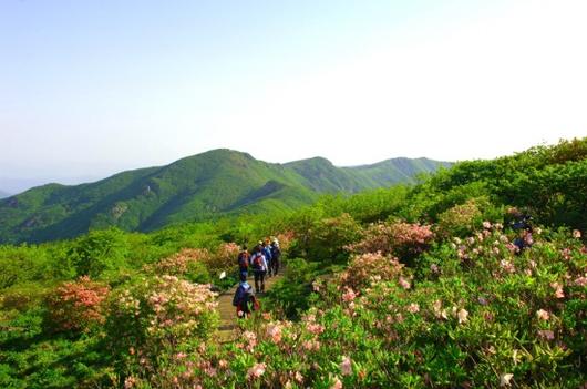 헤럴드경제