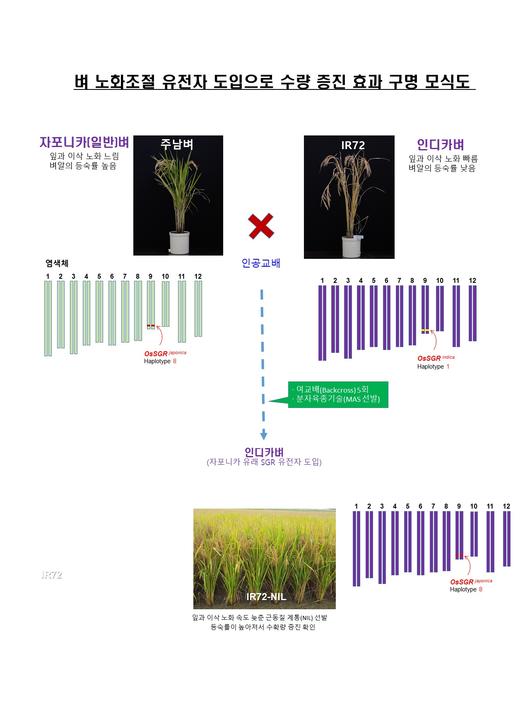 헤럴드경제