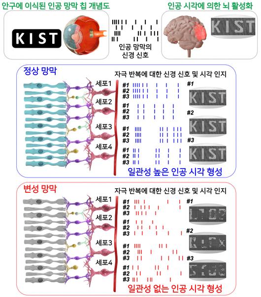 헤럴드경제