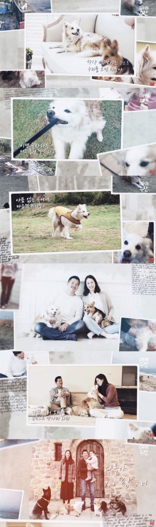 수잔 엘더 유튜브 채널 캡처