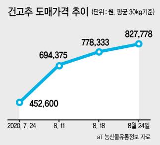 헤럴드경제