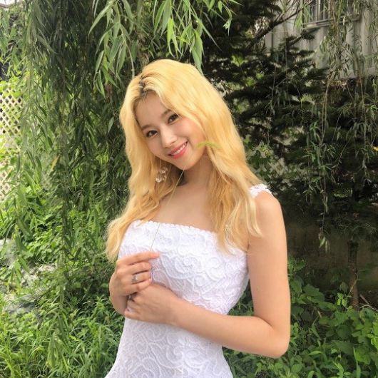 사나 인스타그램