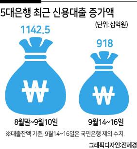 헤럴드경제