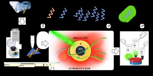 헤럴드경제