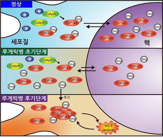 헤럴드경제