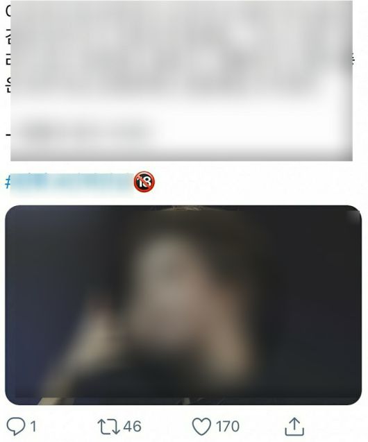 트위터에서 배포되는 '알페스'. 실제 아이돌 사진도 첨부돼있다. [트위터 캡처]