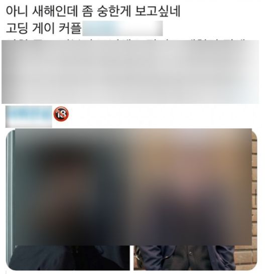 트위터에서 유포되는 '알페스' 사례. '알페스'란 실존 아이돌을 동성 커플로 엮은 웹소설 창작물로, 음란성이 인정될시 정보통신망법상 음란물에 해당할 수 있다. [트위터 캡처]