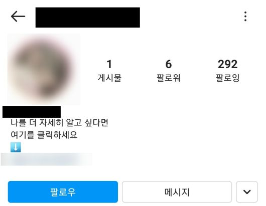 음란 댓글을 남기는 인스타그램 계정. 불법 성인 사이트 및 성인 데이트앱으로 연결되는 링크를 누르도록 유인한다. [인스타그램 캡처]