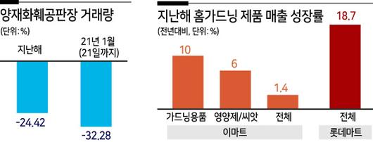 헤럴드경제