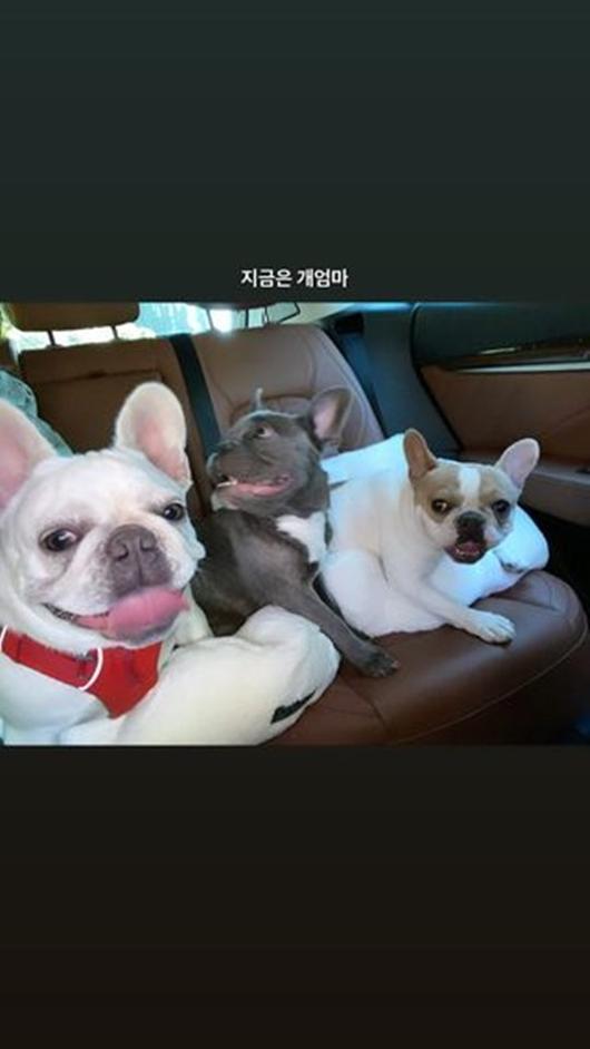 헤럴드경제