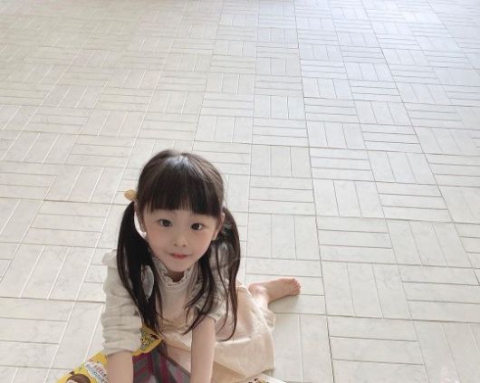 잼잼이 인스타그램