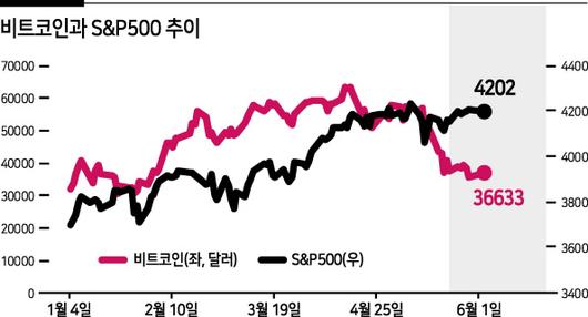 헤럴드경제