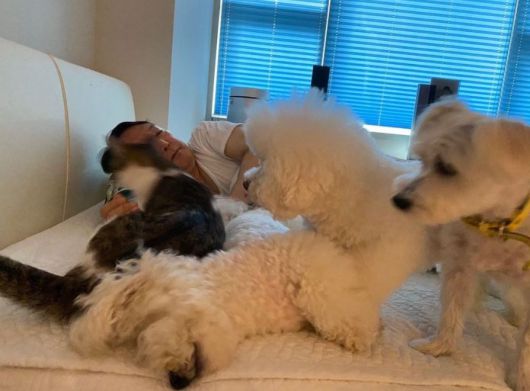 윤석열 전 총장이 입양한 반려견 이름으로 운영하는 인스타그램 '토리스타그램'