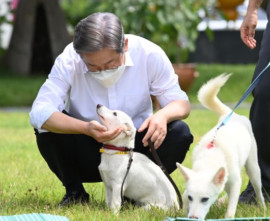 더불어민주당 대선 경선 후보인 이재명 경기도지사가 20일 경기도 고양시 덕양구 농업기술센터 내 잔디밭에서 열린 동물복지 공약 발표 기자간담회에서 동물보호센터 보호견 '오리'와 시간을 보내고 있다. [연합]