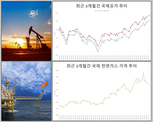 헤럴드경제