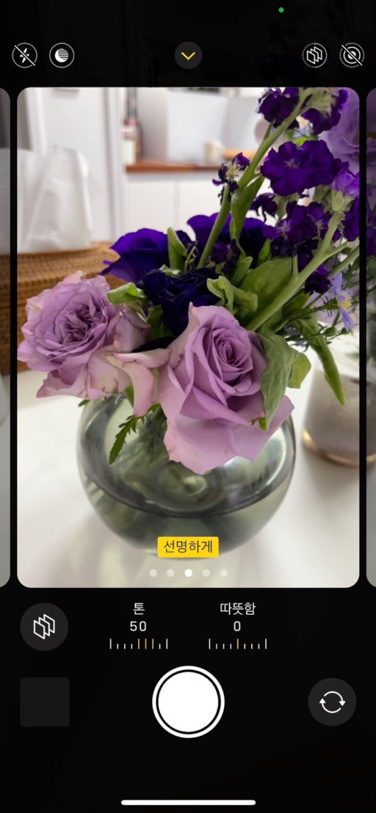 사진 스타일 모드 실행 화면 [박혜림 기자/rim@]