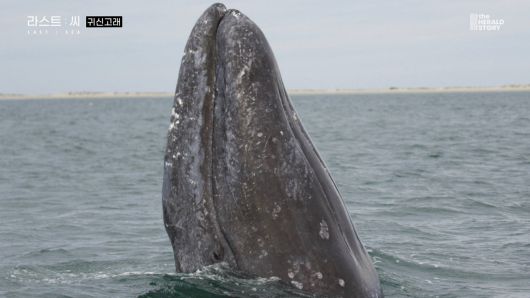 [출처: 라스트 씨]