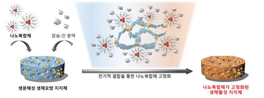 헤럴드경제