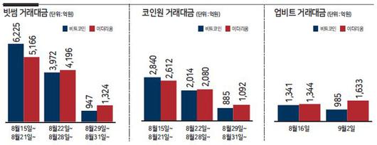 헤럴드경제