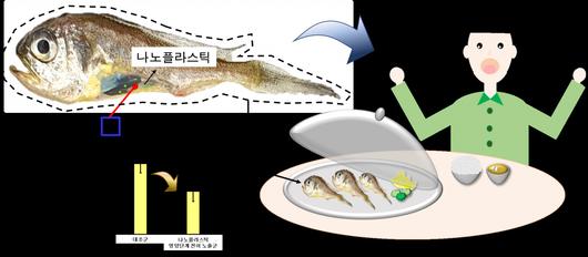 헤럴드경제