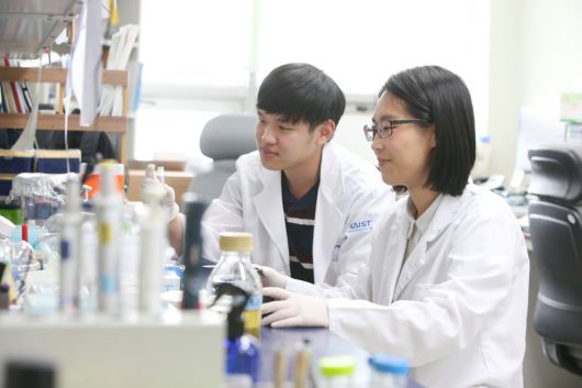[KAIST 제공]