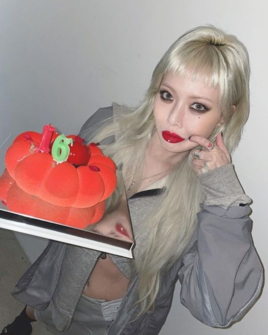 헤럴드경제
