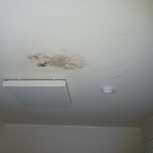 폭우로 생긴 아파트 천장 누수. [독자 제공]