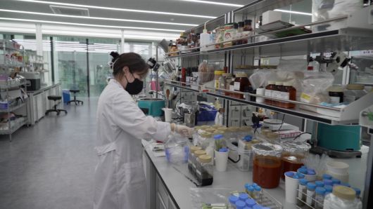 대상 식품연구소에서 연구원이 실험하고 있다. 대상의 연구소는 1980년 설립됐다. 지난해 1200억원을 투자해 만든 지상 8층·지하 2층 규모의 대상 이노파크(DAESANG InnoPark)로 이전했다. 연구소는 식품, 소재(바이오, 전분당), 건강기능식품 등 연구 개발을 위한 대상의 R&D부문을 담당한다.[대상 제공]