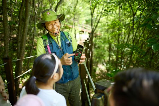 하늘길 생태탐험