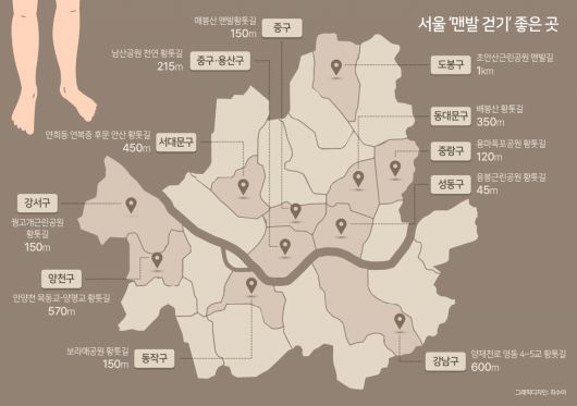 맨발로 걸을 수 있는 황톳길 등을 만드는 지자체도 여럿이다. 성남시는 율동공원과 위례공원 등 6곳에 각각 740m, 520m 황톳길을 조성했다. 서초구도 지역 내 총 4㎞ 규모로 맨발 걷기길 12곳을 만들었다. 강원 춘천시는 2024년까지 7.4㎞ 규모의 맨발 걷기 코스를 만들기도 했다.