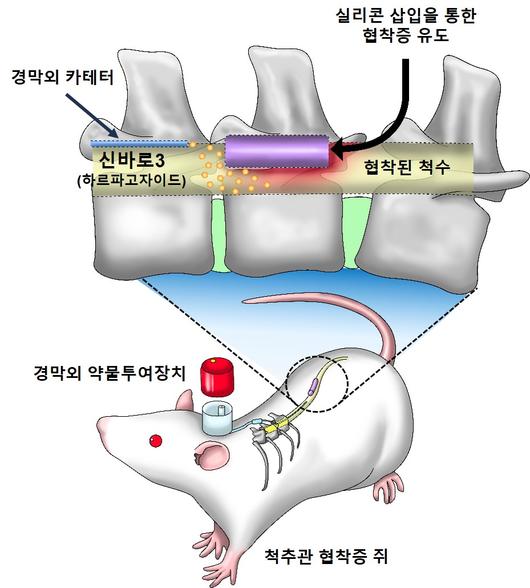 헤럴드경제