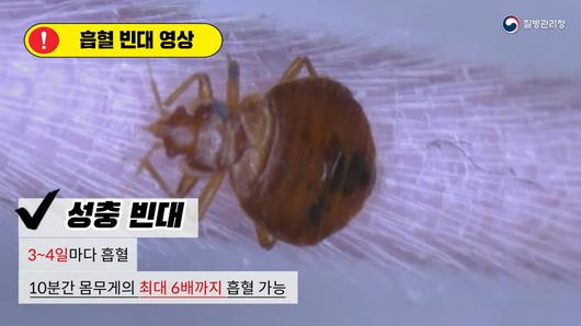 헤럴드경제