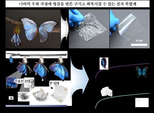 헤럴드경제