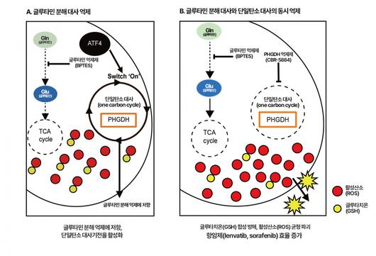 헤럴드경제