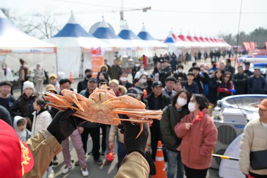 헤럴드경제