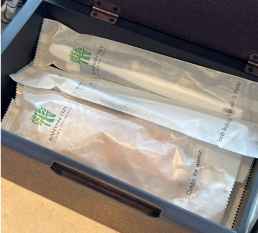 이달 서울의 한 호텔에서 제공한 일회용 칫솔과 면도기 [네이버 블로그 캡처]