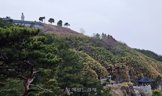멀리서 바라본 해수관음상과 홍련암