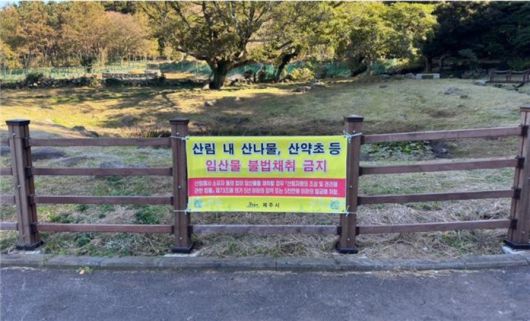 산나물 채취 금지를 알리는 글. [제주 시청 제공]