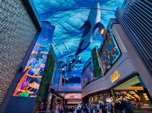 모히건 인스파이어 '오로라'의 스페셜 퍼모먼스