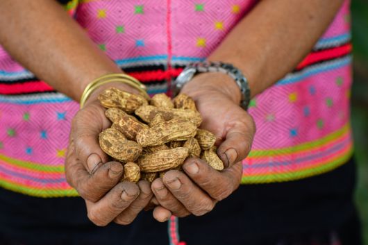 [게티이미지뱅크]