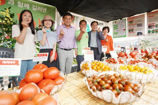 헤럴드경제