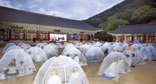 화엄사 모기장 음악회 공연 사진. [헤럴드DB]
