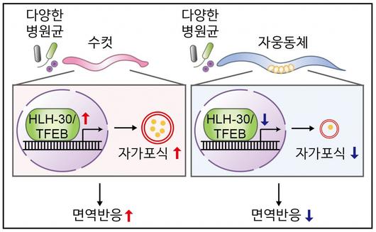 헤럴드경제