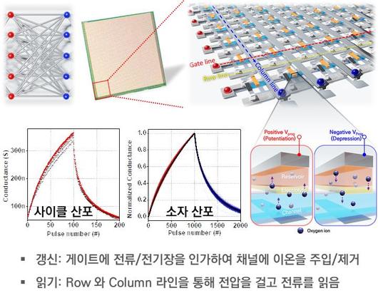 헤럴드경제