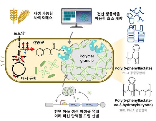 헤럴드경제