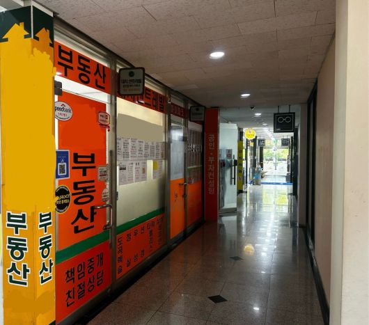 서울시 강남구 대치동의 한 상가 내에 위치한 공인중개사무소들의 모습. [정주원 기자]